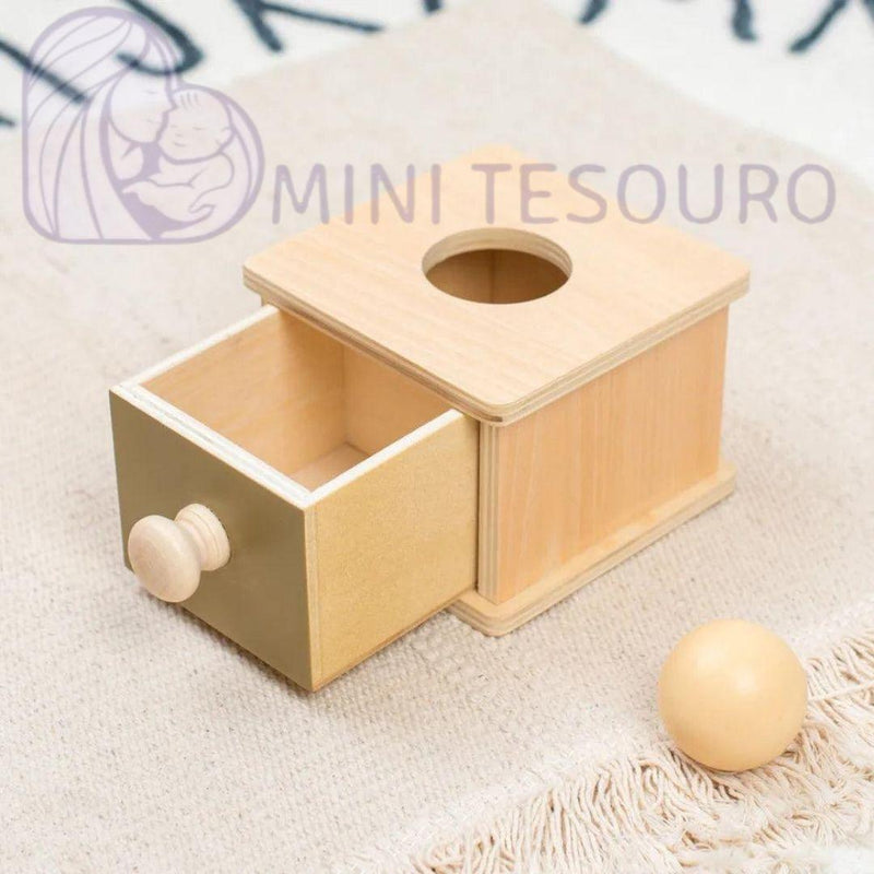 Caixa Sensorial e Cognitivo - Brinquedo Educativo Montessori de Madeira 7d8a6a-f6.myshopify.com