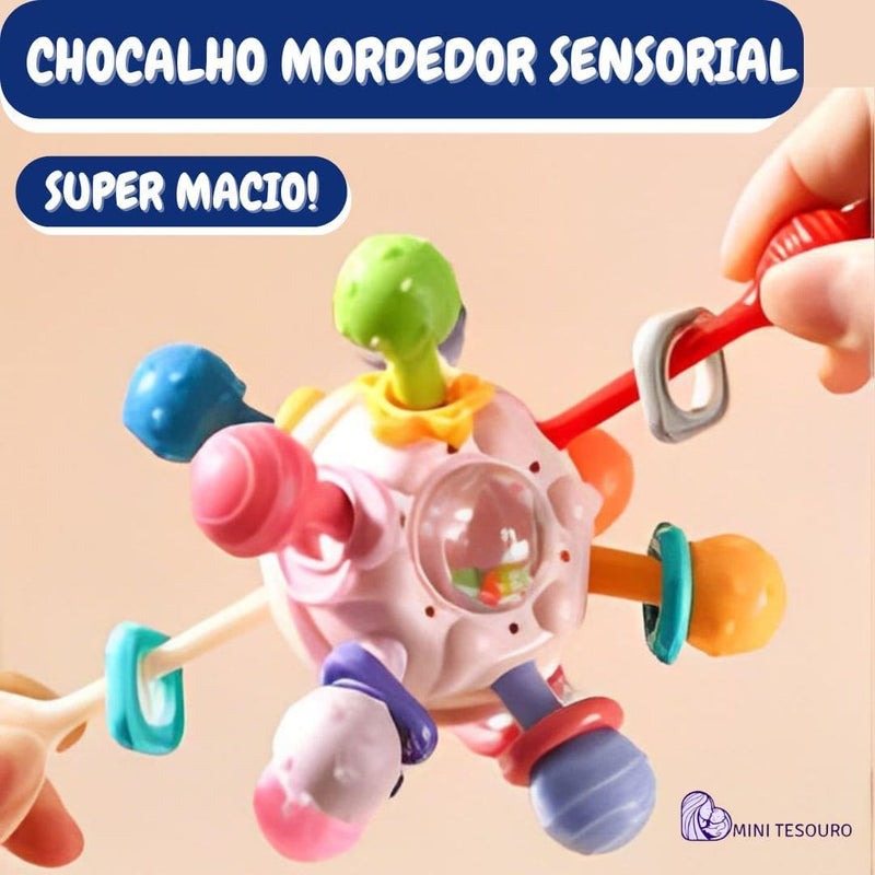 BabyBloom - Esfera de Estímulos Sensoriais | Chocalho Mordedor Sensorial 7d8a6a-f6.myshopify.com